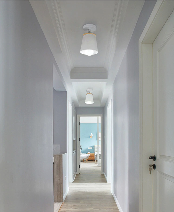 Moderne Scandinavische Verlaagde Lampen met Verstelbare Hoek