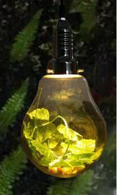 Dax - Tuinbol Hanglamp