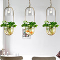 Lileas - Moderne Hangende Plantenbaklamp
