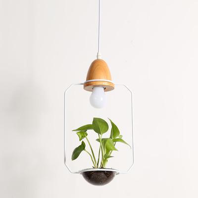 Zox - Moderne Scandinavische Hanglamp/Plantenhanger van IJzer