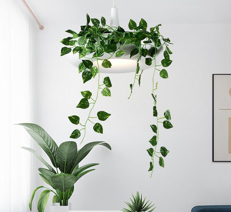 Mauricio - Moderne Plantenbak Lampshade